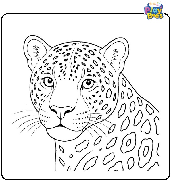 Adult Jaguar Close-Up Coloring Page