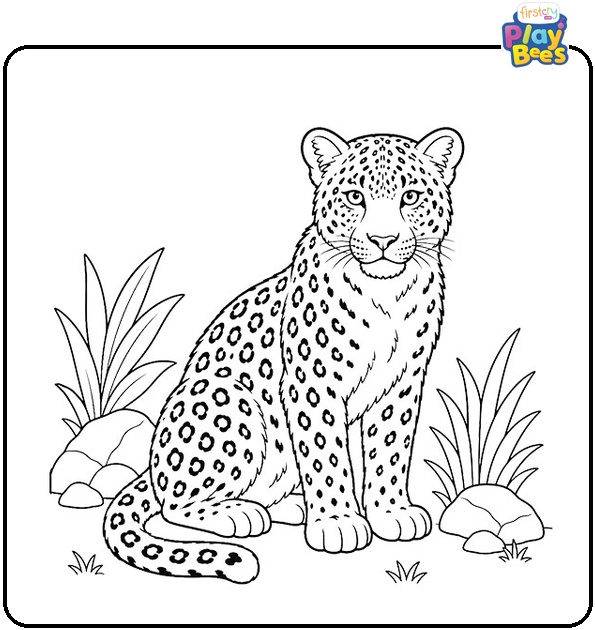 Amur Leopard Coloring Page Amur Leopard Coloring Page