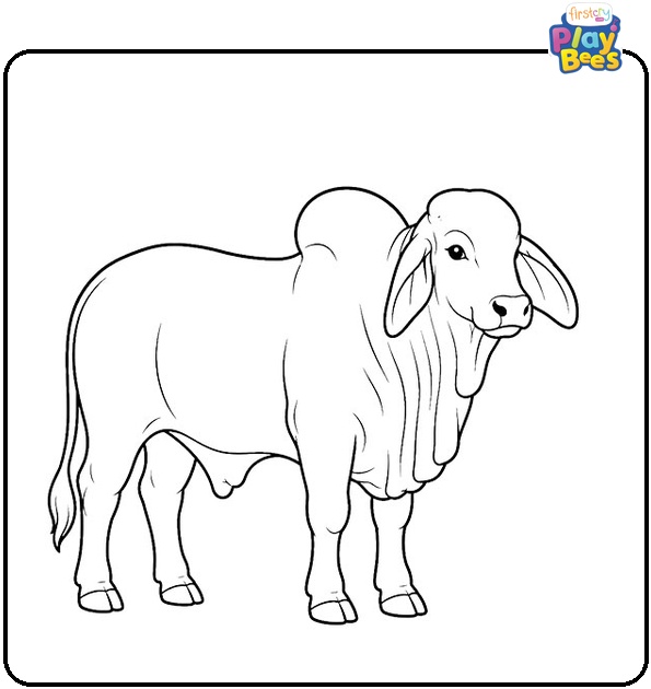 Brahman Bull Coloring Page