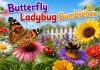 Butterfly Ladybug Bumblebee Nursery Rhyme With Lyrics Butterfly Ladybug Bumblebee Nursery Rhyme With Lyrics