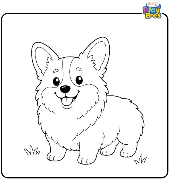 Fluffy Corgi Coloring Page