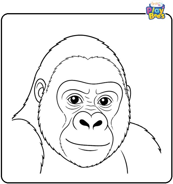 Gorilla Close-Up Coloring Page
