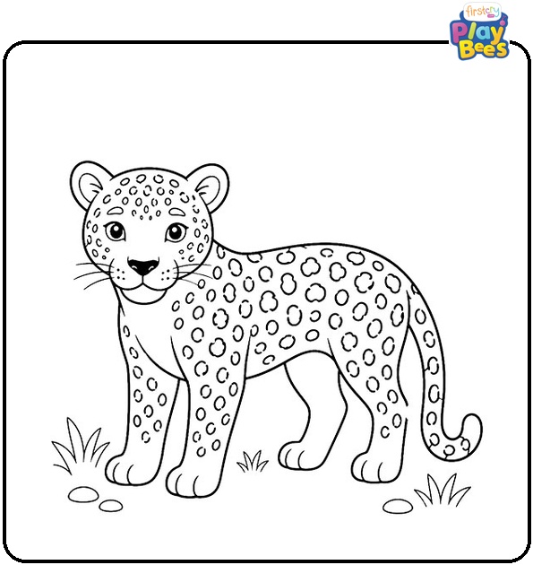 Leopard Coloring Page Leopard Coloring Page