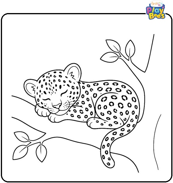 Leopard Cub Sleeping Coloring Page Leopard Cub Sleeping Coloring Page