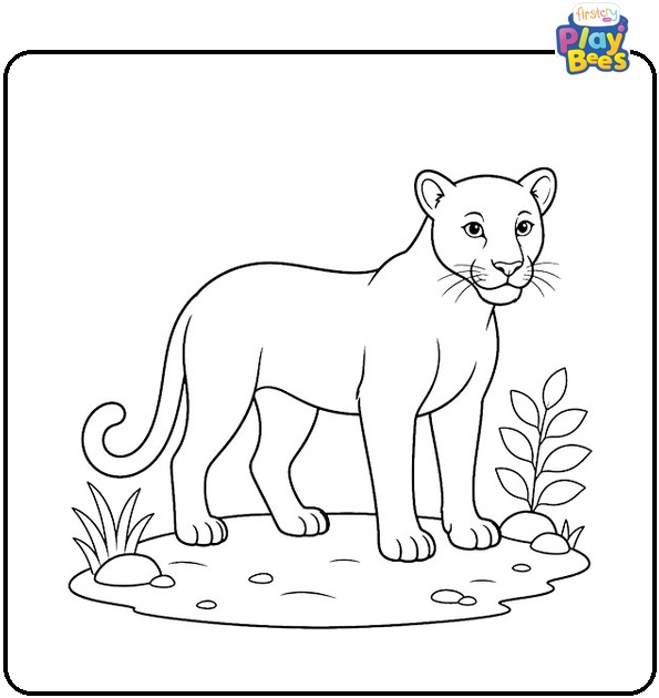 Leopard Without Spots Coloring Page Leopard Without Spots Coloring Page