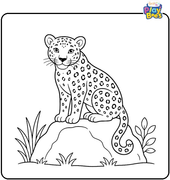 Leopard on Rock Coloring Page Leopard on Rock Coloring Page