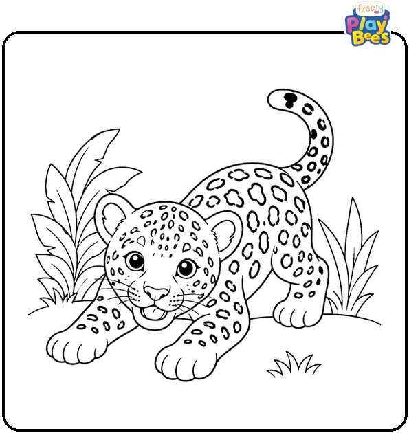 Playful Baby Jaguar Coloring Page