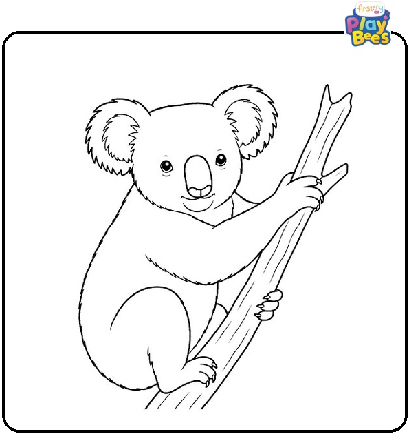 Realistic Koala Coloring Page Realistic Koala Coloring Page