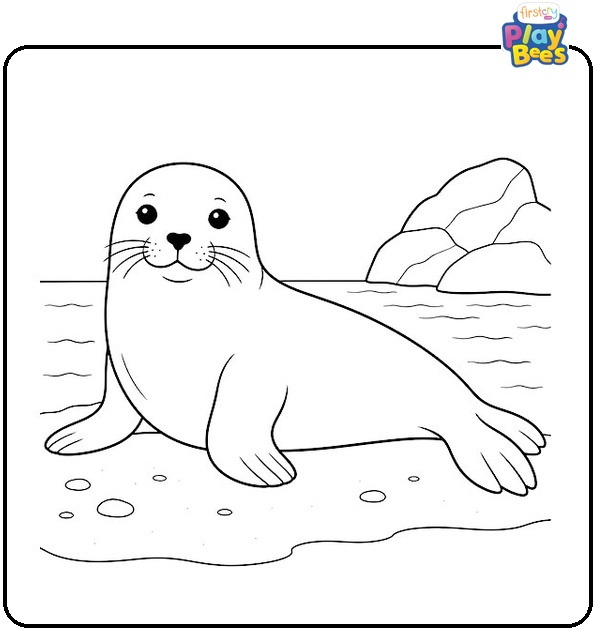Realistic Seal Coloring Page