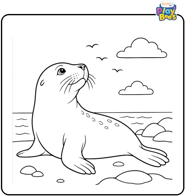 Seal Looking Up At The Sky Coloring Page