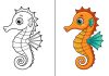 Seahorse Coloring Pages – Free Printable Worksheets & Pictures Seahorse Coloring Pages – Free Printable Worksheets & Pictures