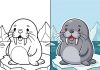 Seal Coloring Pages – Free Printable Worksheets & Pictures Seal Coloring Pages – Free Printable Worksheets & Pictures