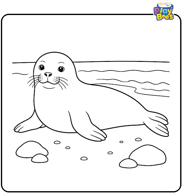 Seal on Beach Coloring Page