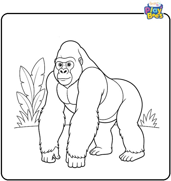 Silverback Gorilla Coloring Page
