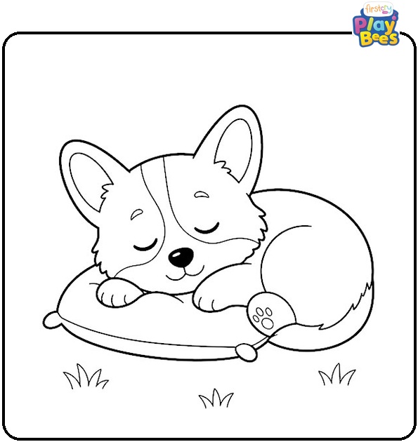 Sleeping Corgi Coloring Page