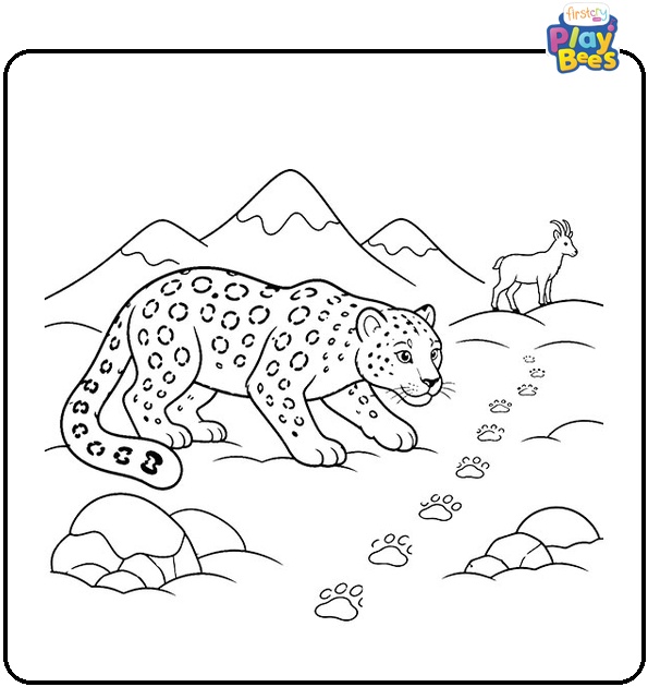 Snow Leopard Hunting Coloring Page Snow Leopard Hunting Coloring Page