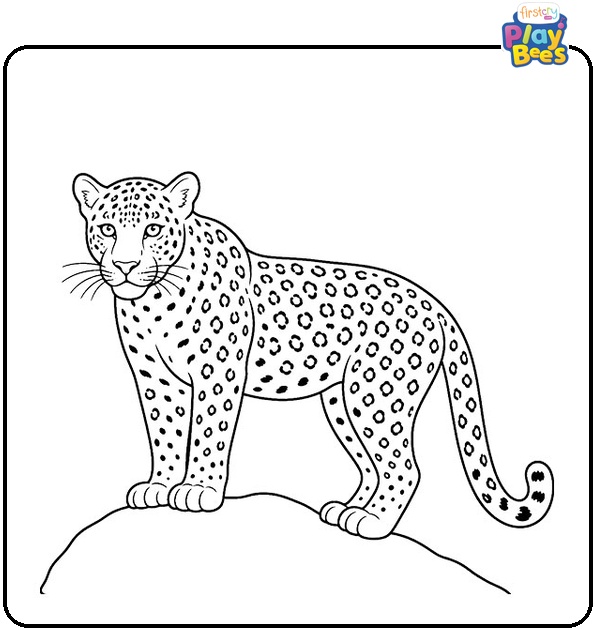 Young Leopard Coloring Page Young Leopard Coloring Page