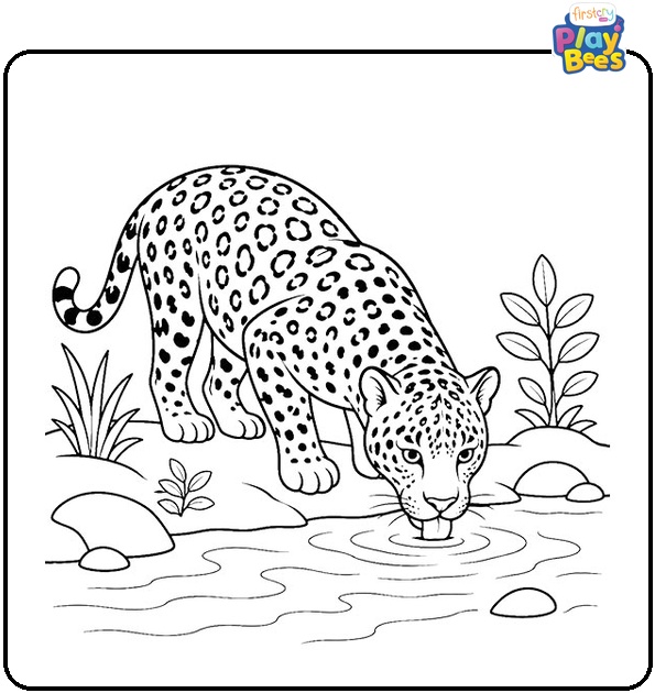 Jaguar Drinking from Forest Stream Coloring Page