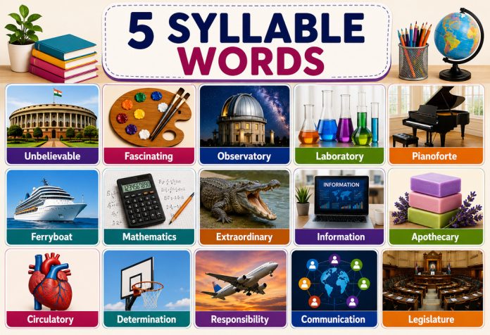 5 Syllable Words Word List, Examples & Activities for Kids