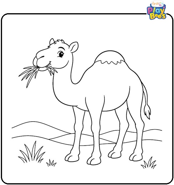 Camel Chewing Dry Grass Coloring Page