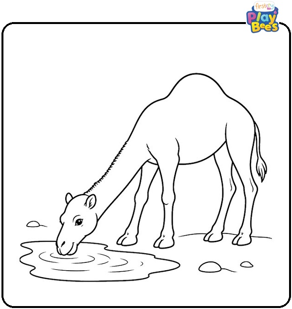 Camel Drinking Water Coloring Page