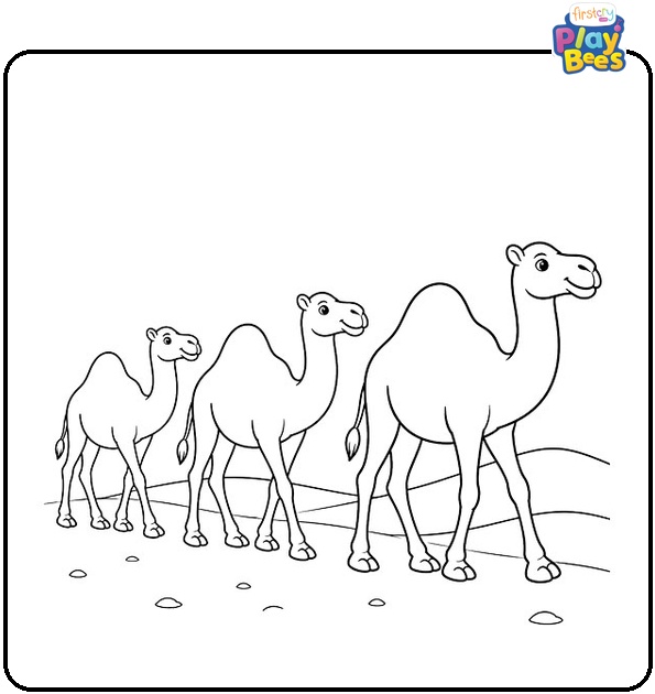 Camel Herd Walking In A Line Coloring Page