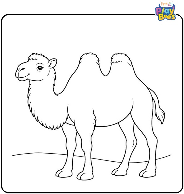 Camel With Two Humps Coloring Page