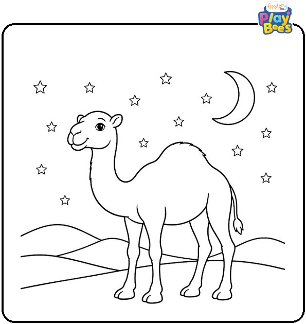 Camel and the Starry Night Coloring Page