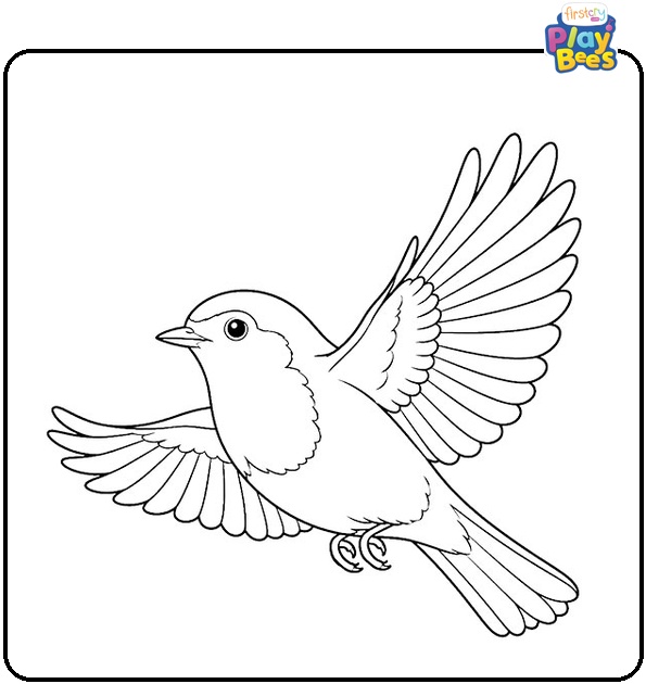 Flying Robin Coloring Page