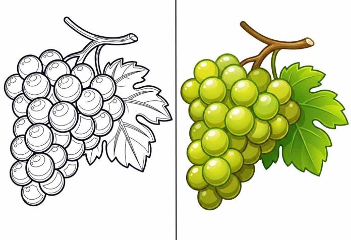 Grapes Coloring Pages – Free Printable Worksheets & Pictures