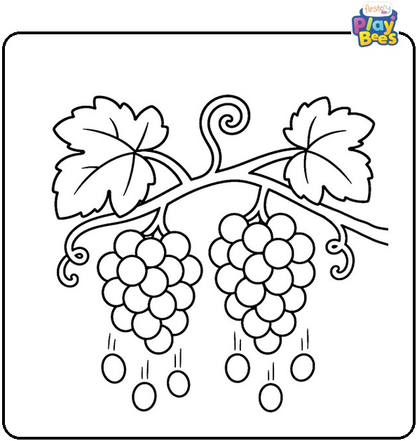 Grapes Falling from Vine Coloring Page Grapes Falling from Vine Coloring Page