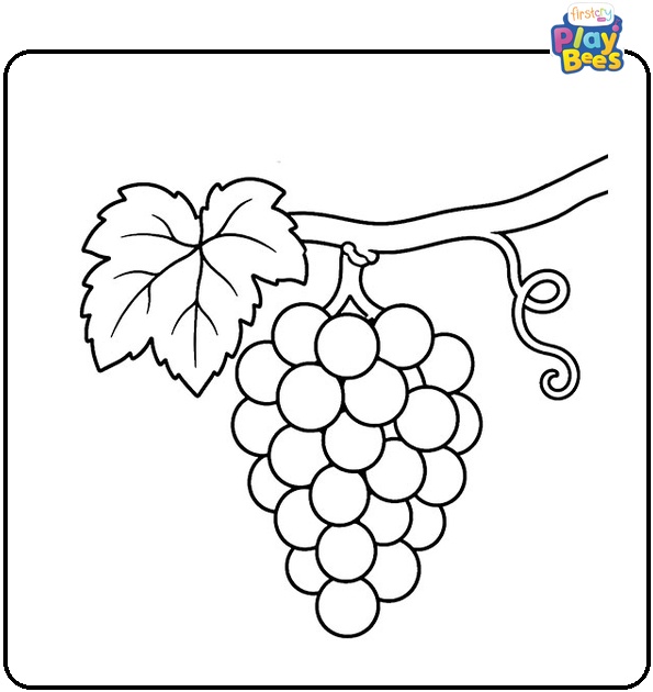 Grapes Hanging from Branch Coloring Page Grapes Hanging from Branch Coloring Page