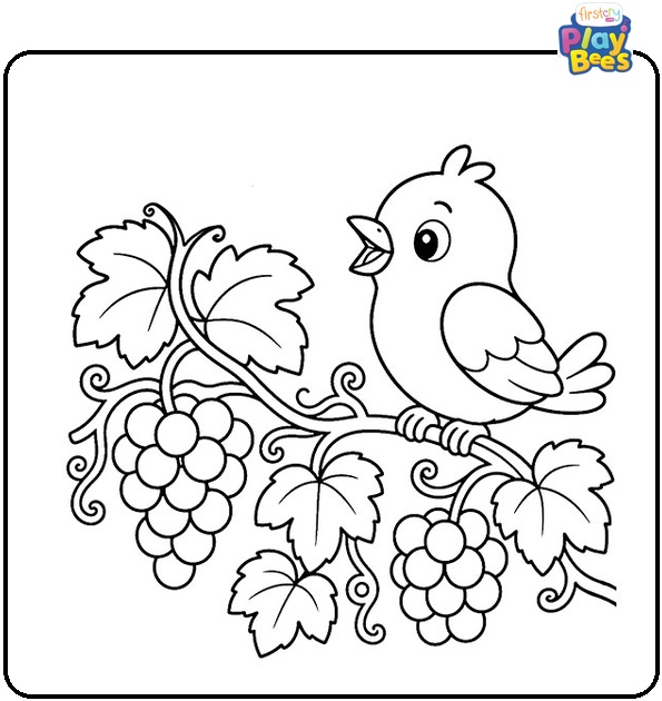 Grapes and Chirping Bird Coloring Page Grapes and Chirping Bird Coloring Page