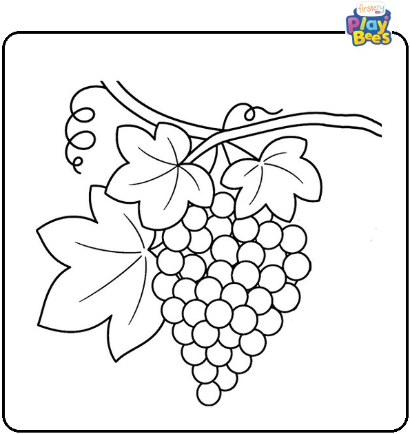 Grapes on Vine with Leaves Coloring Page Grapes on Vine with Leaves Coloring Page