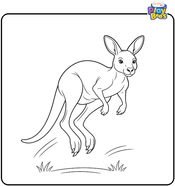 Jumping Kangaroo Coloring Page Jumping Kangaroo Coloring Page