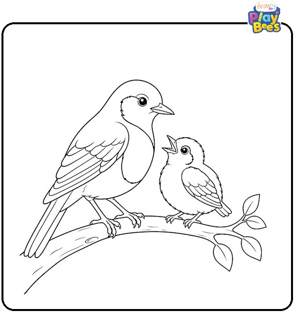 Mother Robin and Baby Coloring Page
