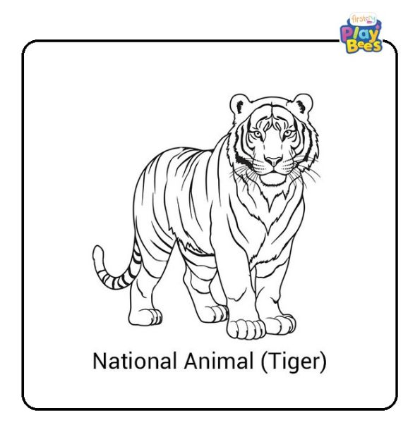 National Animal (Tiger) of India Coloring Page National Animal (Tiger) of India Coloring Page