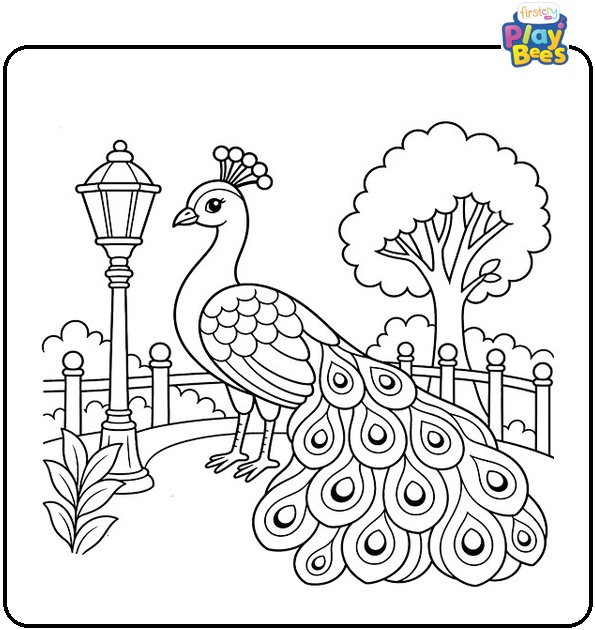 Peacock Near Park Lights Coloring Page Peacock Near Park Lights Coloring Page