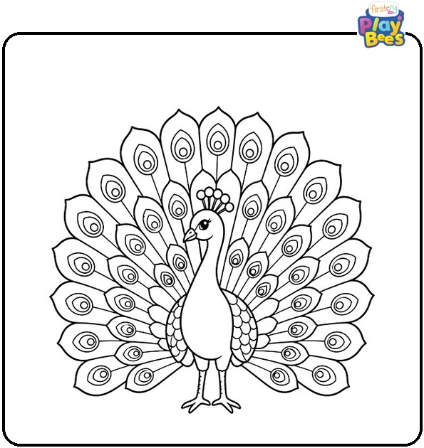 Peacock Spreads Its Tail Coloring Page Peacock Spreads Its Tail Coloring Page