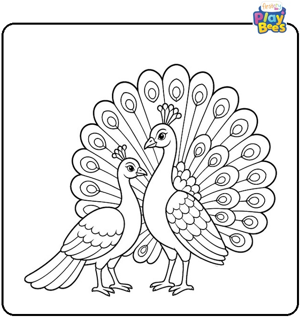 Peacock and Peahen Coloring Page Peacock and Peahen Coloring Page