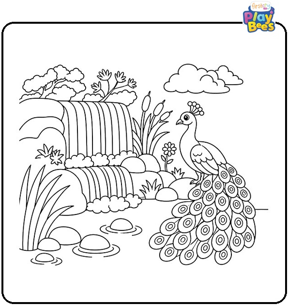 Peacock and Waterfall Coloring Page Peacock and Waterfall Coloring Page