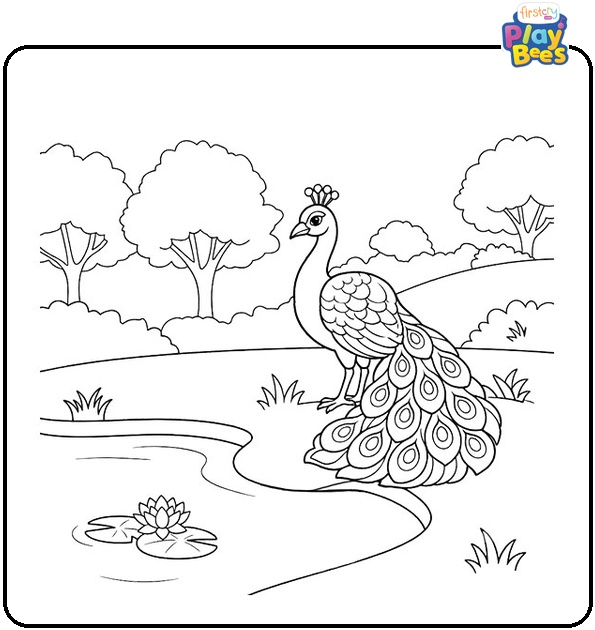 Peacock by Pond Coloring Page Peacock by Pond Coloring Page