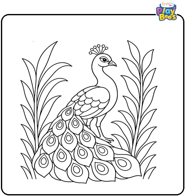 Peacock by Tall Plants Coloring Page Peacock by Tall Plants Coloring Page