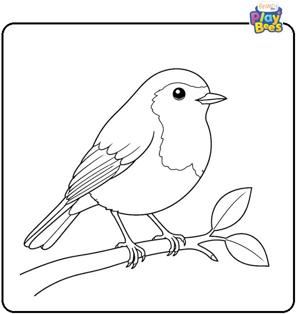 Realistic Robin Bird Coloring Page