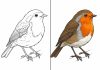 Robin Coloring Pages – Free Printable Worksheets & Pictures Robin Coloring Pages – Free Printable Worksheets & Pictures