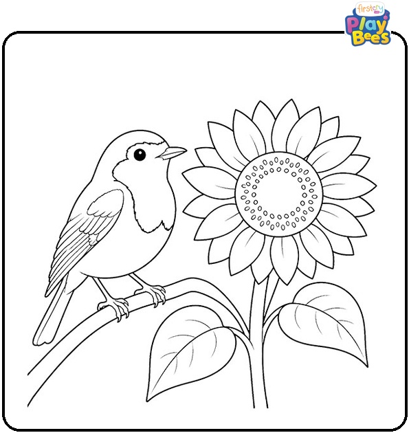 Robin and Sunflower Coloring Page
