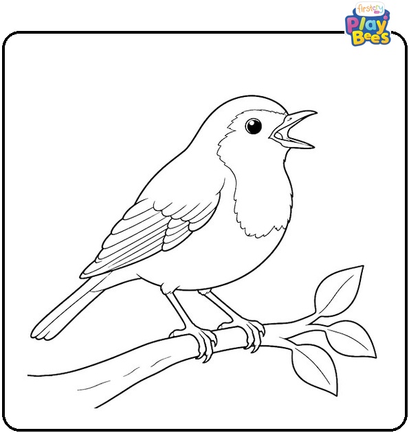 Robin with Open Beak Coloring Page