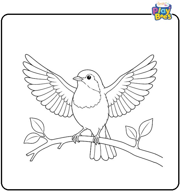 Robin with Open Wings Coloring Page
