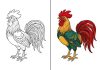 Rooster Coloring Pages – Free Printable Worksheets & Pictures Rooster Coloring Pages – Free Printable Worksheets & Pictures