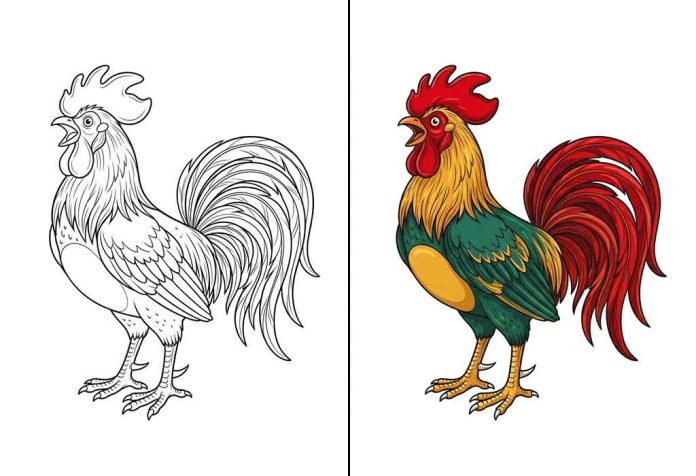 Rooster Coloring Pages – Free Printable Worksheets & Pictures